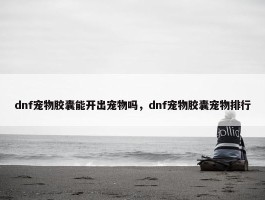 dnf宠物胶囊能开出宠物吗，dnf宠物胶囊宠物排行