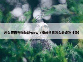 怎么领悟宠物技能wow（魔兽世界怎么教宠物技能）