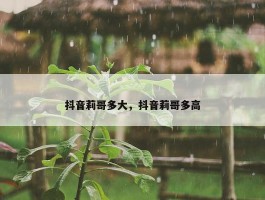 抖音莉哥多大，抖音莉哥多高