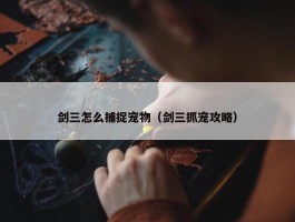 剑三怎么捕捉宠物（剑三抓宠攻略）