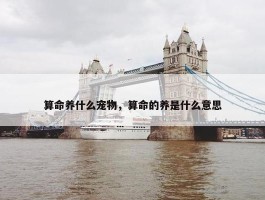 算命养什么宠物，算命的养是什么意思