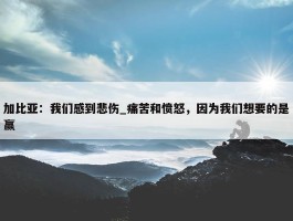 加比亚：我们感到悲伤_痛苦和愤怒，因为我们想要的是赢