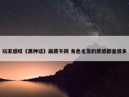 玩家感叹《黑神话》画质不同 角色毛发的质感都差很多