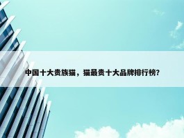 中国十大贵族猫，猫最贵十大品牌排行榜？