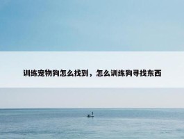 训练宠物狗怎么找到，怎么训练狗寻找东西