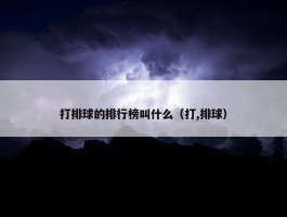 打排球的排行榜叫什么（打,排球）