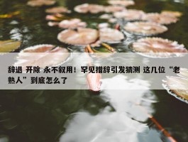 辞退 开除 永不叙用！罕见措辞引发猜测 这几位“老熟人”到底怎么了