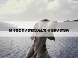 短视频公司运营框架怎么写 短视频运营架构