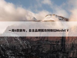 一周6款新车，自主品牌围攻特斯拉Model Y