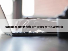 dnf阿修罗用什么宠物 dnf阿修罗用什么宠物技能