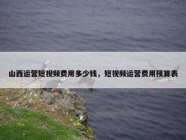 山西运营短视频费用多少钱，短视频运营费用预算表