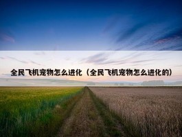 全民飞机宠物怎么进化（全民飞机宠物怎么进化的）