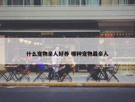 什么宠物亲人好养 哪种宠物最亲人