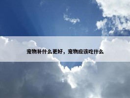 宠物补什么更好，宠物应该吃什么