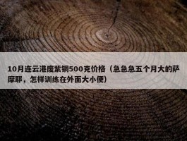 10月连云港废紫铜500克价格（急急急五个月大的萨摩耶，怎样训练在外面大小便）