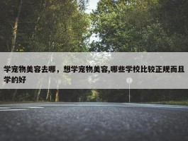 学宠物美容去哪，想学宠物美容,哪些学校比较正规而且学的好