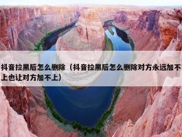 抖音拉黑后怎么删除（抖音拉黑后怎么删除对方永远加不上也让对方加不上）