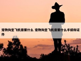 宠物狗坐飞机需要什么 宠物狗坐飞机需要什么手续和证件