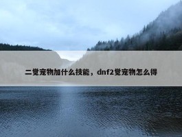 二觉宠物加什么技能，dnf2觉宠物怎么得