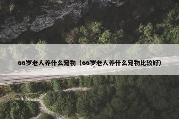 66岁老人养什么宠物（66岁老人养什么宠物比较好）