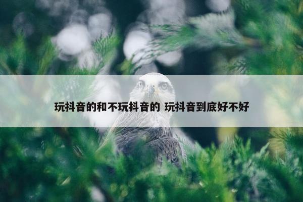 玩抖音的和不玩抖音的 玩抖音到底好不好