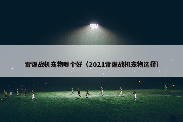 雷霆战机宠物哪个好（2021雷霆战机宠物选择）