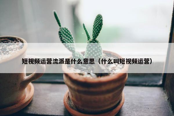 短视频运营流派是什么意思（什么叫短视频运营）