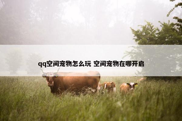 qq空间宠物怎么玩 空间宠物在哪开启