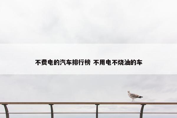 不费电的汽车排行榜 不用电不烧油的车