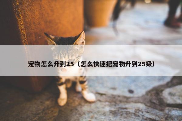 宠物怎么升到25（怎么快速把宠物升到25级）