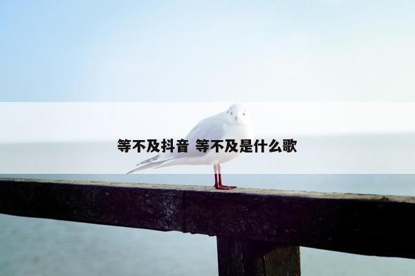 等不及抖音 等不及是什么歌