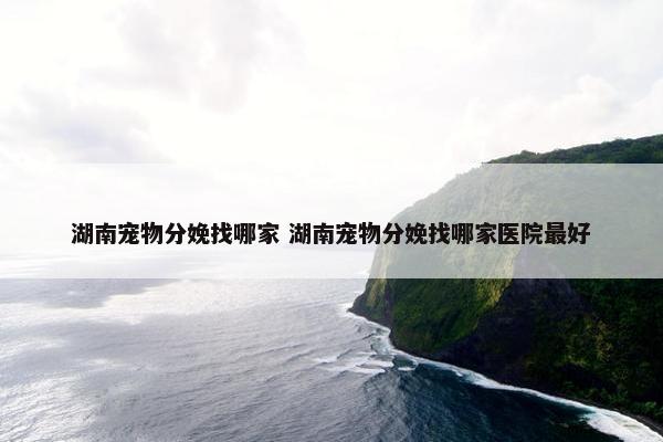 湖南宠物分娩找哪家 湖南宠物分娩找哪家医院最好