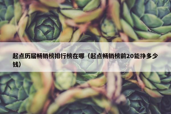 起点历届畅销榜排行榜在哪（起点畅销榜前20能挣多少钱）