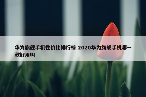 华为旗舰手机性价比排行榜 2020华为旗舰手机哪一款好用啊