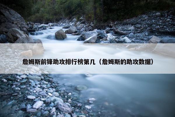 詹姆斯前锋助攻排行榜第几（詹姆斯的助攻数据）