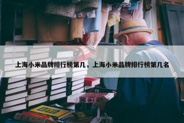 上海小米品牌排行榜第几，上海小米品牌排行榜第几名