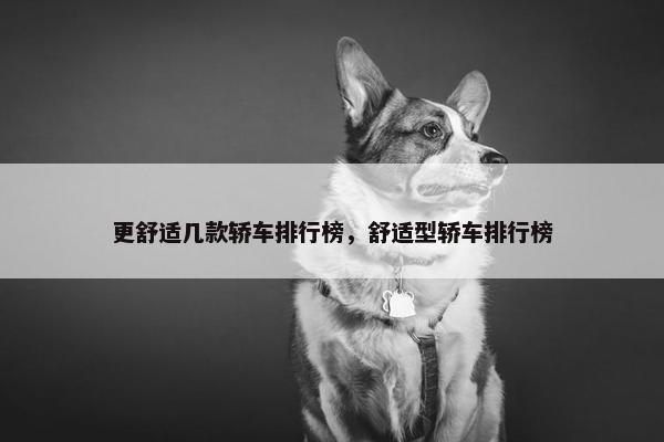 更舒适几款轿车排行榜，舒适型轿车排行榜