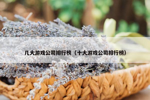 几大游戏公司排行榜（十大游戏公司排行榜）