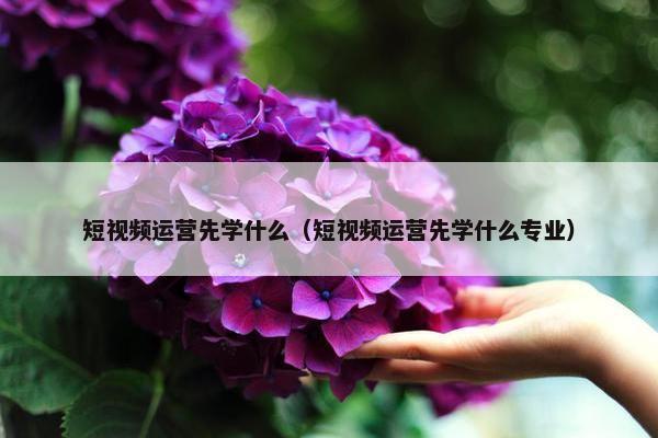 短视频运营先学什么（短视频运营先学什么专业）