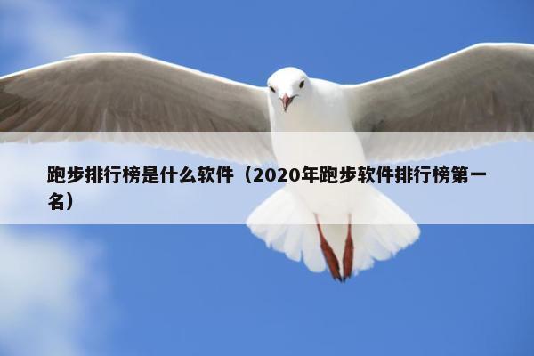 跑步排行榜是什么软件（2020年跑步软件排行榜第一名）