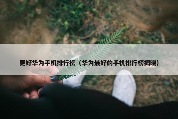 更好华为手机排行榜（华为最好的手机排行榜揭晓）