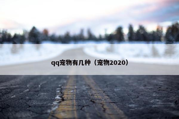 qq宠物有几种（宠物2020）