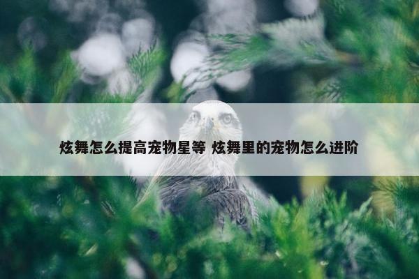 炫舞怎么提高宠物星等 炫舞里的宠物怎么进阶