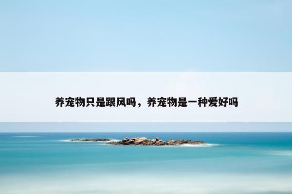 养宠物只是跟风吗，养宠物是一种爱好吗