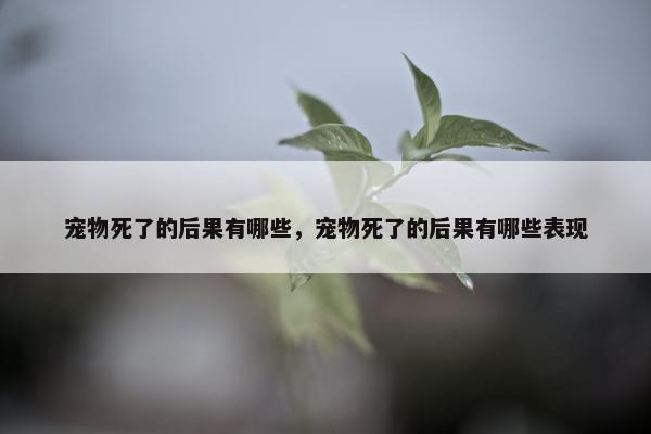 宠物死了的后果有哪些，宠物死了的后果有哪些表现