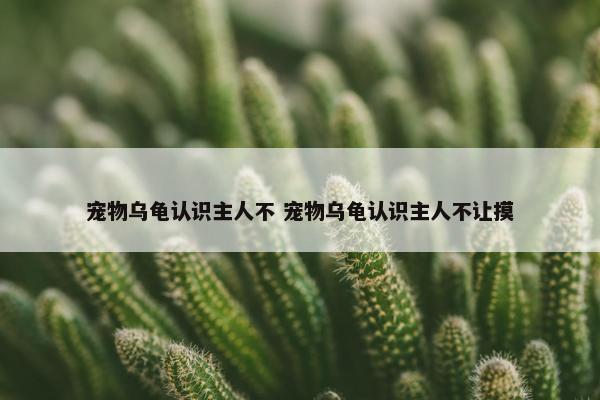 宠物乌龟认识主人不 宠物乌龟认识主人不让摸