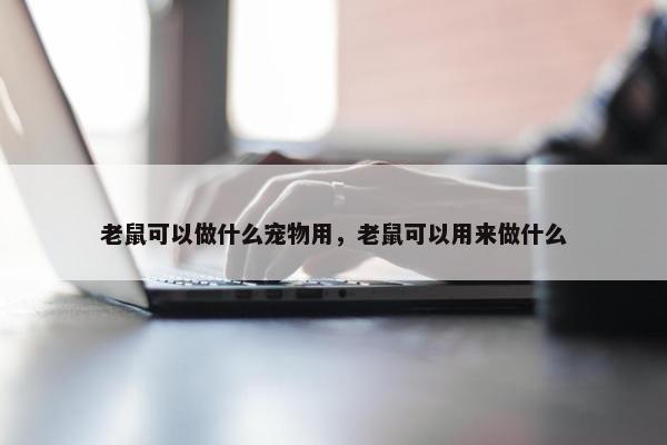 老鼠可以做什么宠物用，老鼠可以用来做什么