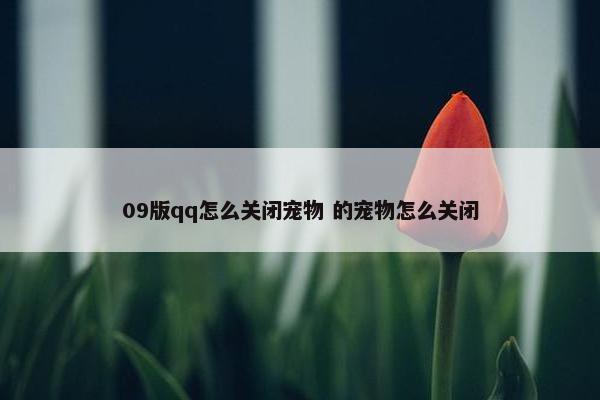 09版qq怎么关闭宠物 的宠物怎么关闭