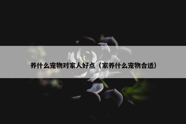 养什么宠物对家人好点（家养什么宠物合适）