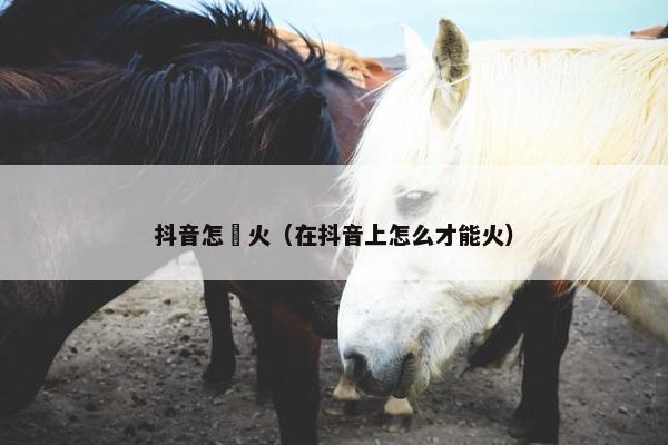 抖音怎麼火（在抖音上怎么才能火）